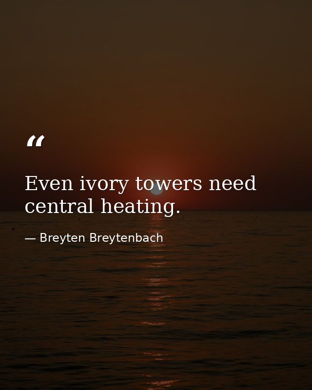 Even ivory towers need central heating. — Breyten Breytenbach