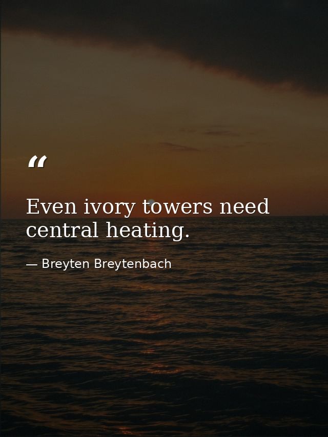 Even ivory towers need central heating. — Breyten Breytenbach