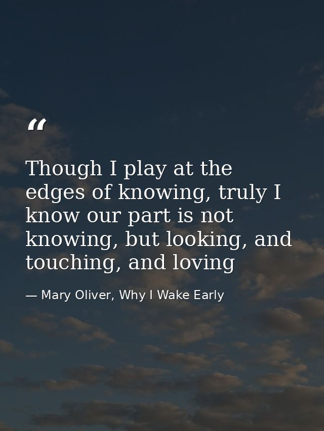 Though I play at the edges of knowing, truly I know our part is not knowing, but looking, and touching, and loving — Mary Oliver, Why I Wake Early
