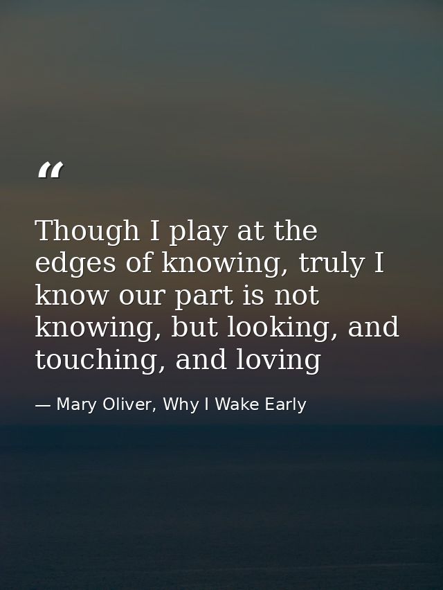 Though I play at the edges of knowing, truly I know our part is not knowing, but looking, and touching, and loving — Mary Oliver, Why I Wake Early