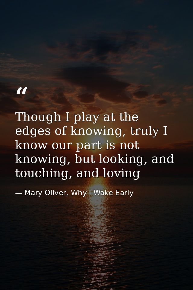 Though I play at the edges of knowing, truly I know our part is not knowing, but looking, and touching, and loving — Mary Oliver, Why I Wake Early