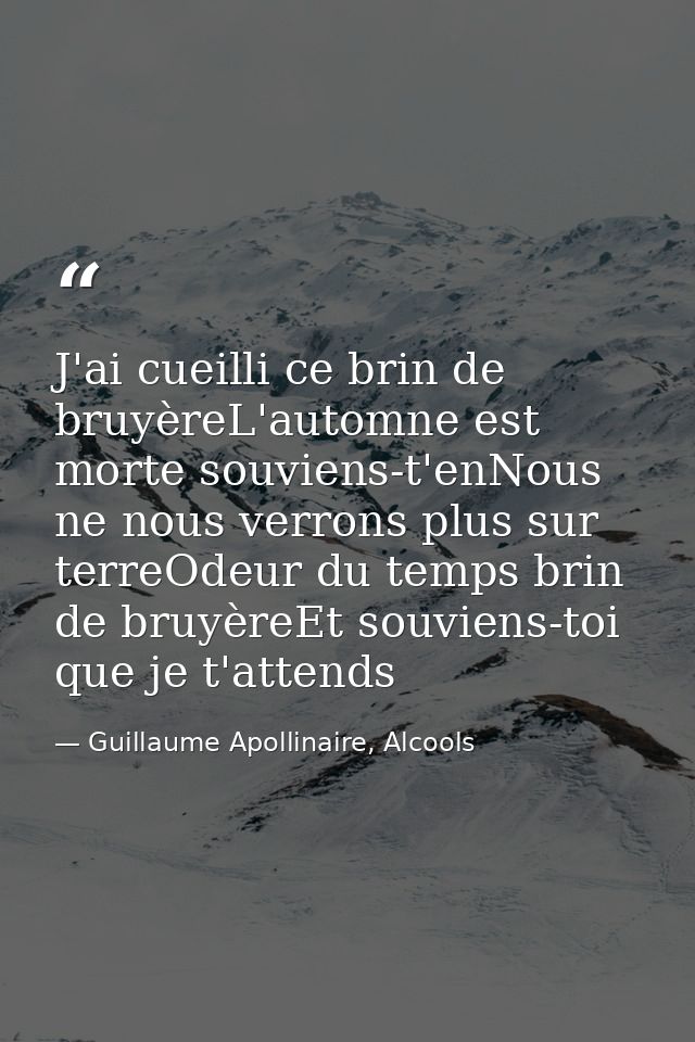 J'ai cueilli ce brin de bruyèreL'automne est morte souviens-t'enNous ne nous verrons plus sur terreOdeur du temps brin d — Guillaume Apollinaire, Alcools
