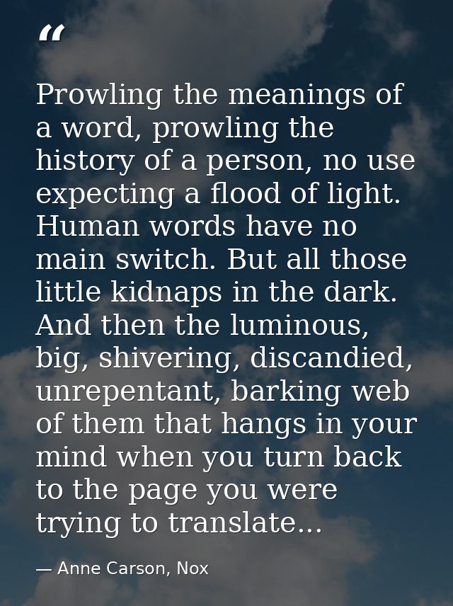 Prowling the meanings of a word, prowling the history of a person, no use expecting a flood of light. Human words have n — Anne Carson, Nox