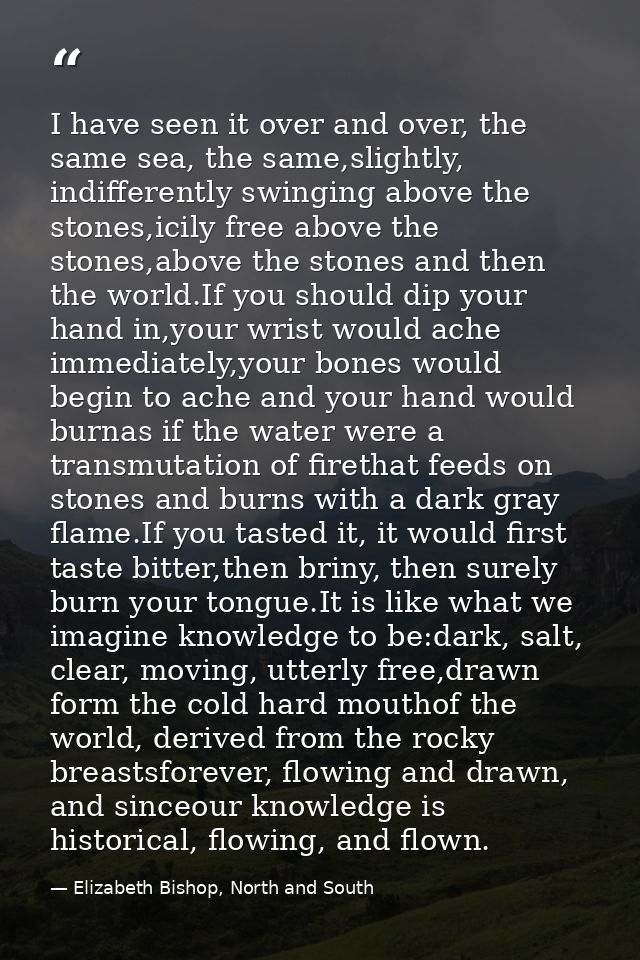 I have seen it over and over, the same sea, the same,slightly, indifferently swinging above the stones,icily free above  — Elizabeth Bishop, North and South