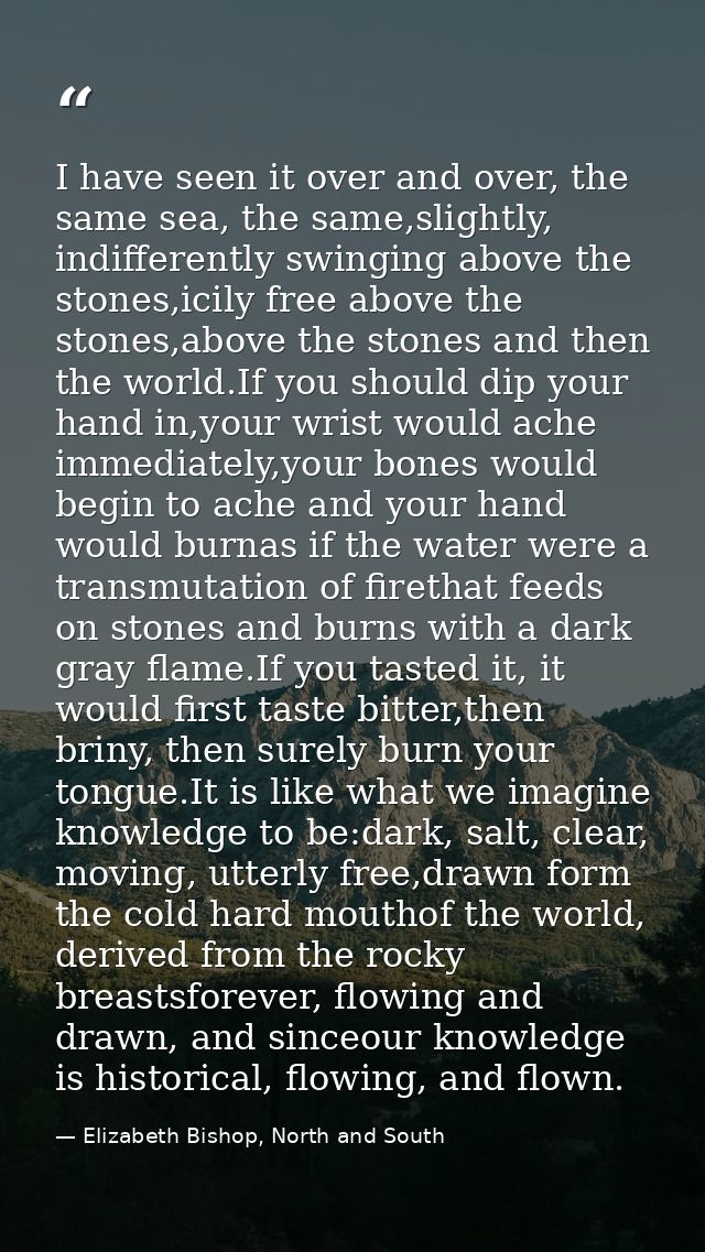 I have seen it over and over, the same sea, the same,slightly, indifferently swinging above the stones,icily free above  — Elizabeth Bishop, North and South