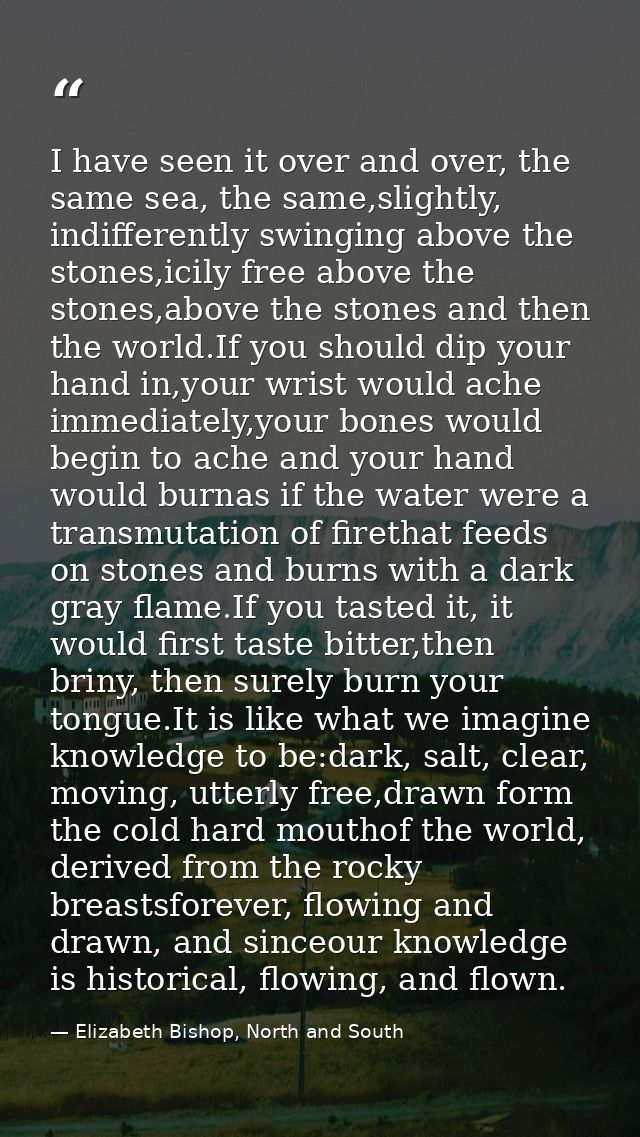 I have seen it over and over, the same sea, the same,slightly, indifferently swinging above the stones,icily free above  — Elizabeth Bishop, North and South