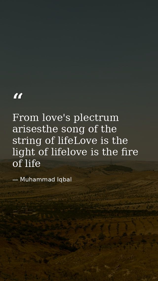 From love's plectrum arisesthe song of the string of lifeLove is the light of lifelove is the fire of life — Muhammad Iqbal