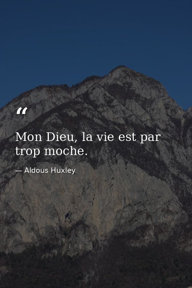 Mon Dieu, la vie est par trop moche. — Aldous Huxley