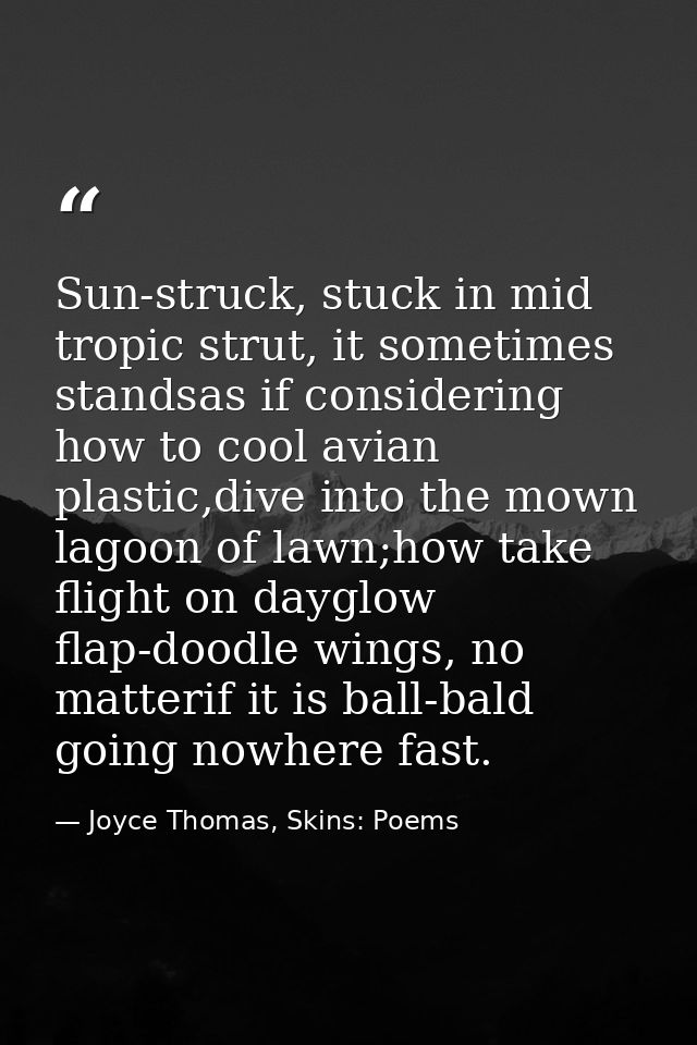 Sun-struck, stuck in mid tropic strut, it sometimes standsas if considering how to cool avian plastic,dive into the mown — Joyce Thomas, Skins: Poems
