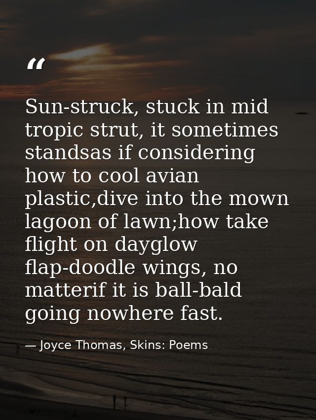 Sun-struck, stuck in mid tropic strut, it sometimes standsas if considering how to cool avian plastic,dive into the mown — Joyce Thomas, Skins: Poems