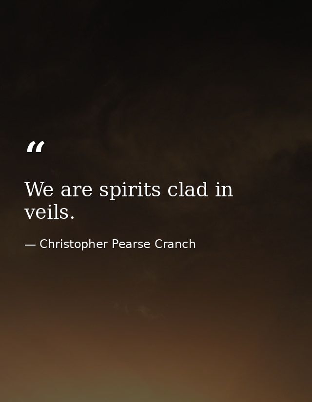 We are spirits clad in veils. — Christopher Pearse Cranch