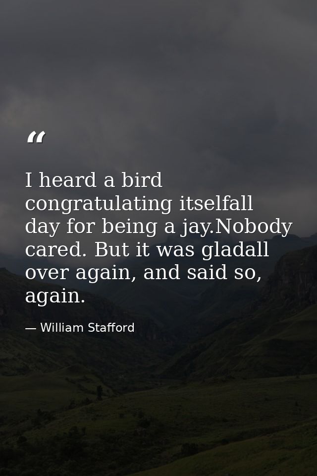 I heard a bird congratulating itselfall day for being a jay.Nobody cared. But it was gladall over again, and said so, ag — William Stafford