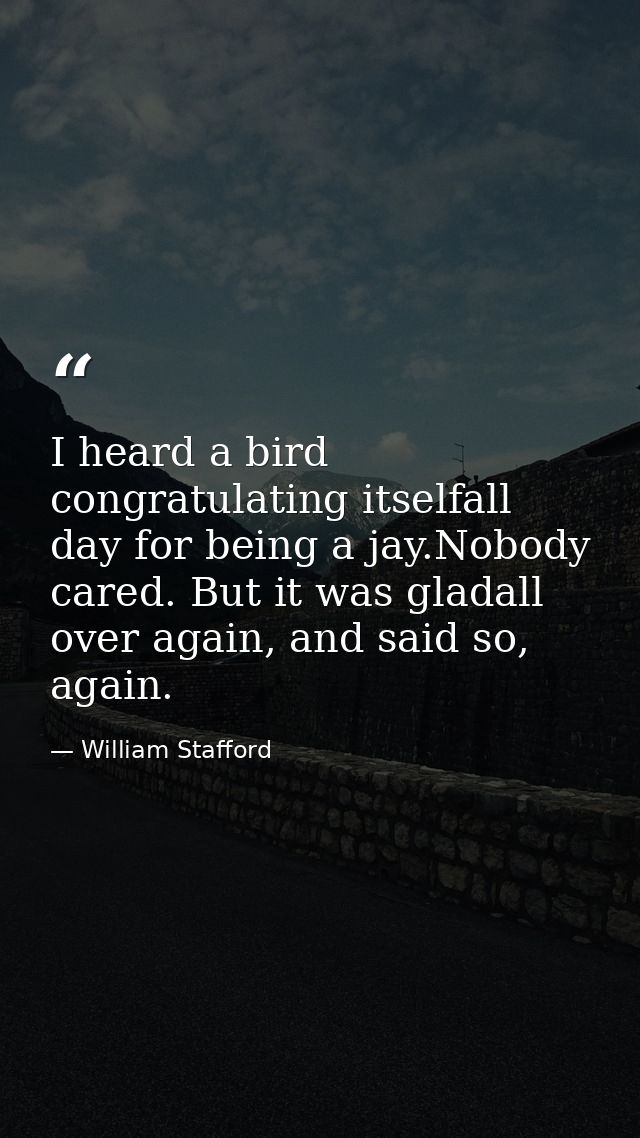 I heard a bird congratulating itselfall day for being a jay.Nobody cared. But it was gladall over again, and said so, ag — William Stafford