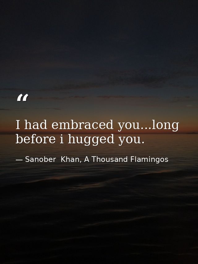 I had embraced you...long before i hugged you. — Sanober  Khan, A Thousand Flamingos