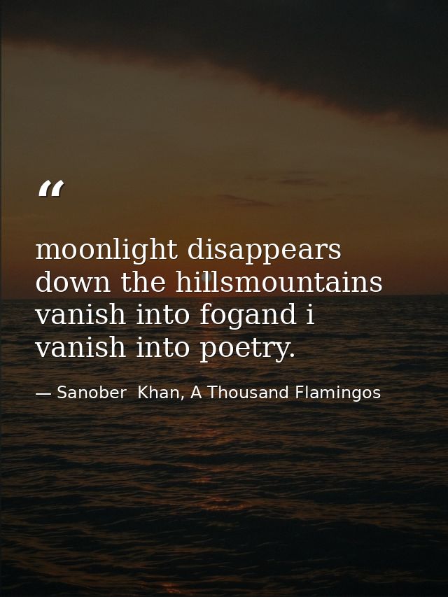 moonlight disappears down the hillsmountains vanish into fogand i vanish into poetry. — Sanober  Khan, A Thousand Flamingos