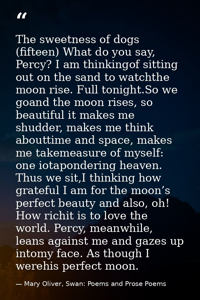 The sweetness of dogs (fifteen) What do you say, Percy? I am thinkingof sitting out on the sand to watchthe moon rise. F — Mary Oliver, Swan: Poems and Prose Poems
