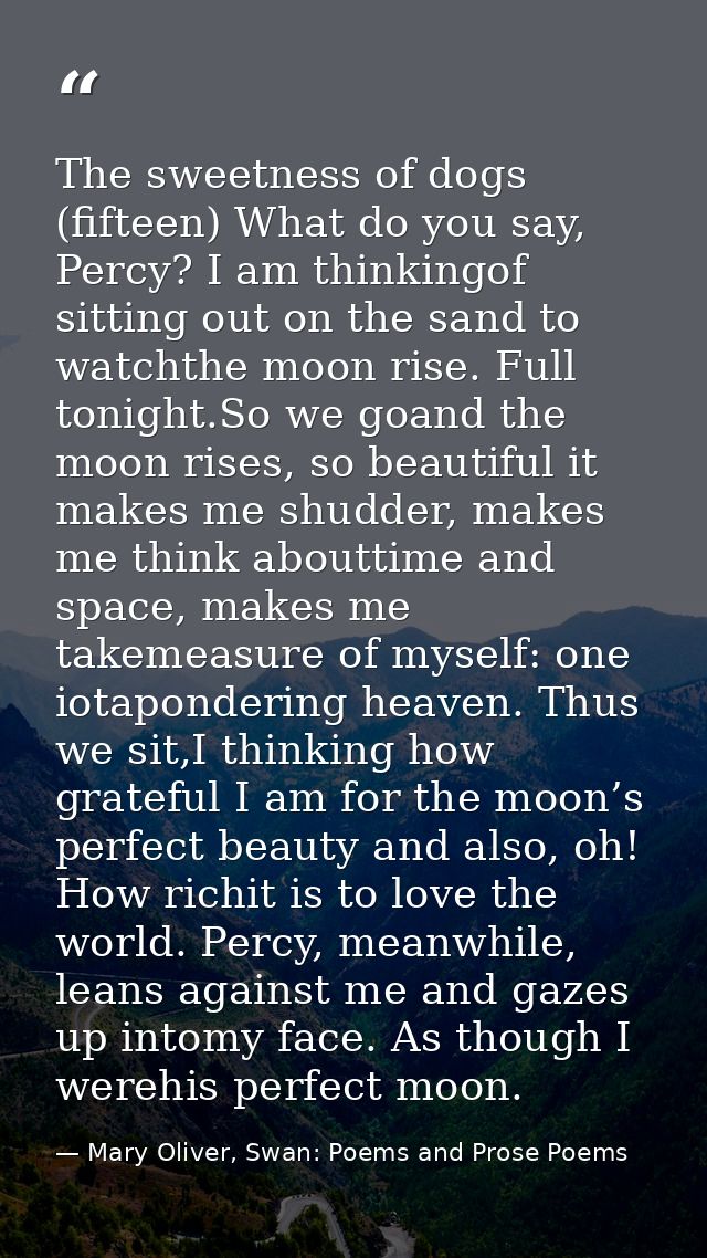 The sweetness of dogs (fifteen) What do you say, Percy? I am thinkingof sitting out on the sand to watchthe moon rise. F — Mary Oliver, Swan: Poems and Prose Poems