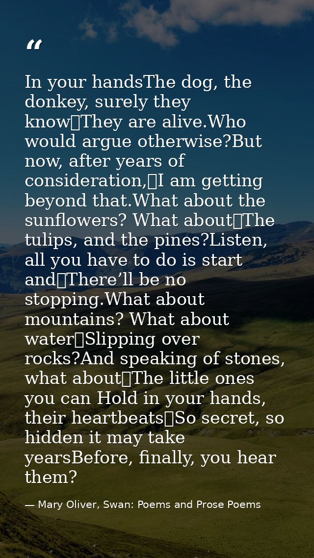 In your handsThe dog, the donkey, surely they know	They are alive.Who would argue otherwise?But now, after years of cons — Mary Oliver, Swan: Poems and Prose Poems