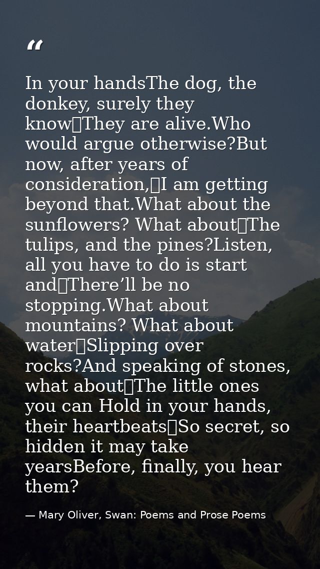 In your handsThe dog, the donkey, surely they know	They are alive.Who would argue otherwise?But now, after years of cons — Mary Oliver, Swan: Poems and Prose Poems