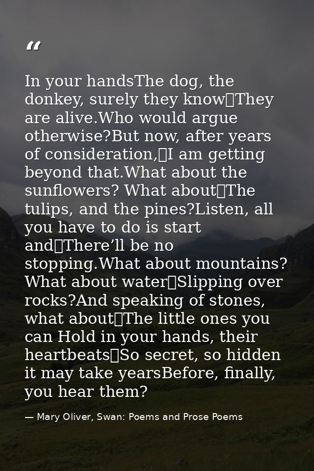 In your handsThe dog, the donkey, surely they know	They are alive.Who would argue otherwise?But now, after years of cons — Mary Oliver, Swan: Poems and Prose Poems