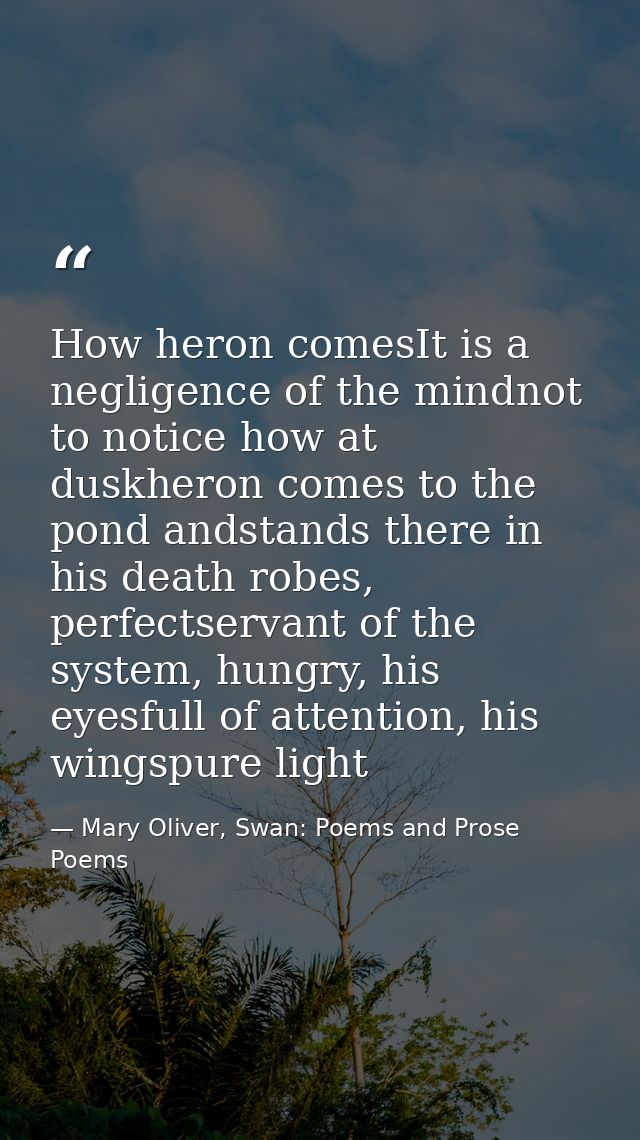 How heron comesIt is a negligence of the mindnot to notice how at duskheron comes to the pond andstands there in his dea — Mary Oliver, Swan: Poems and Prose Poems