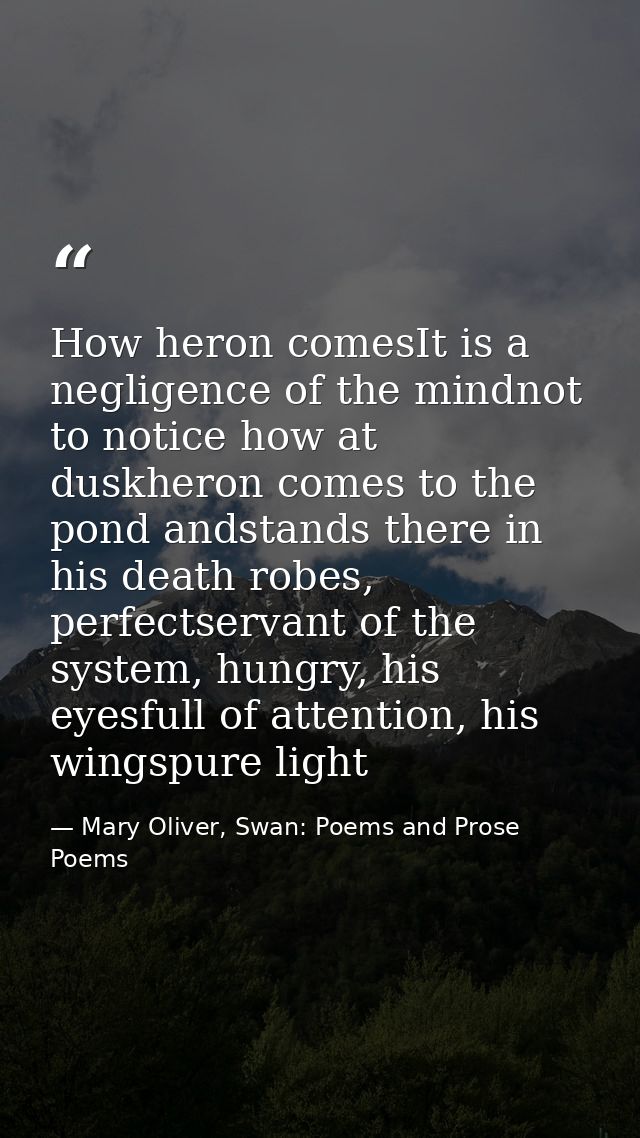 How heron comesIt is a negligence of the mindnot to notice how at duskheron comes to the pond andstands there in his dea — Mary Oliver, Swan: Poems and Prose Poems