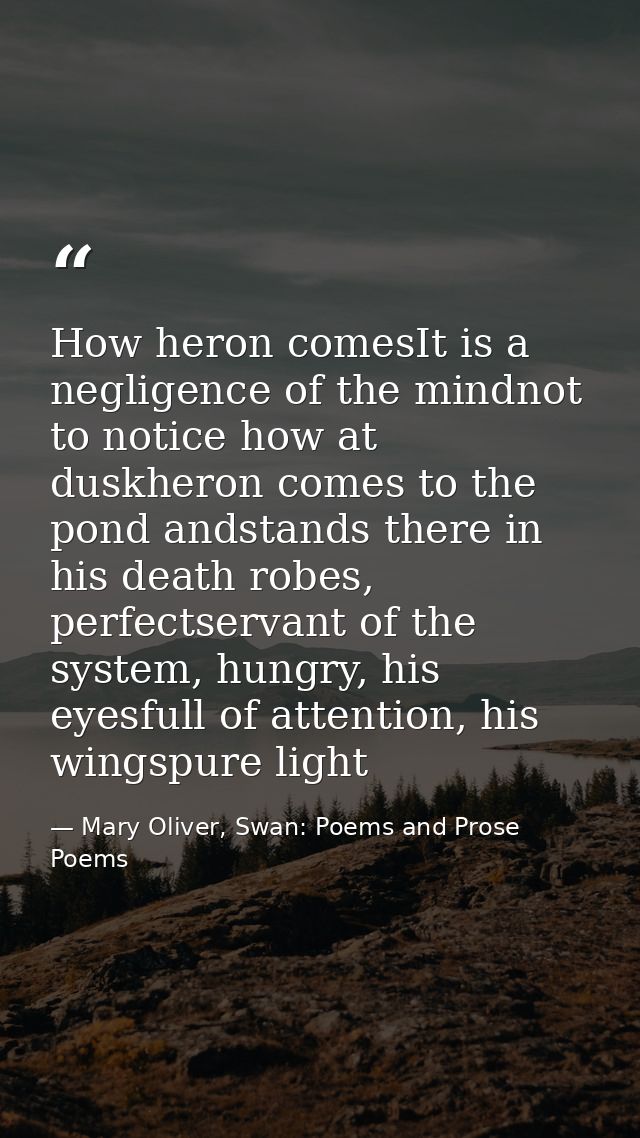 How heron comesIt is a negligence of the mindnot to notice how at duskheron comes to the pond andstands there in his dea — Mary Oliver, Swan: Poems and Prose Poems