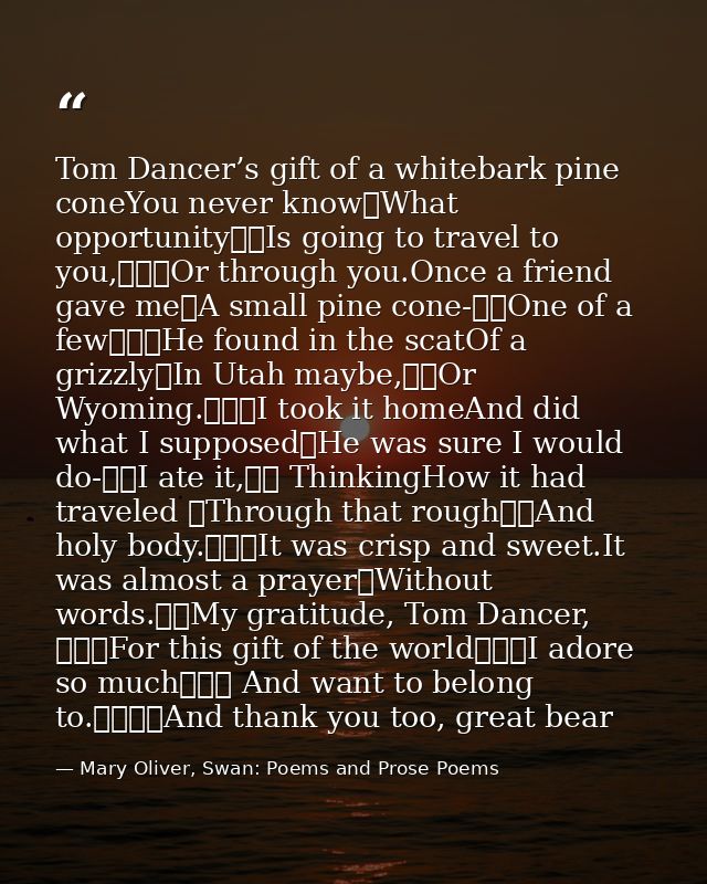 Tom Dancer’s gift of a whitebark pine coneYou never know	What opportunity		Is going to travel to you,			Or through you.O — Mary Oliver, Swan: Poems and Prose Poems