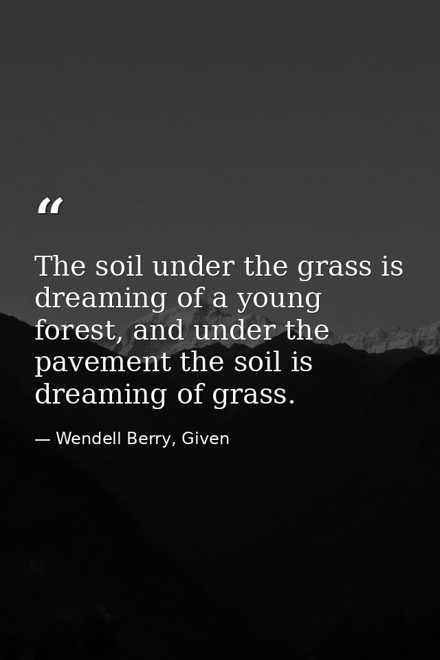 The soil under the grass is dreaming of a young forest, and under the pavement the soil is dreaming of grass. — Wendell Berry, Given