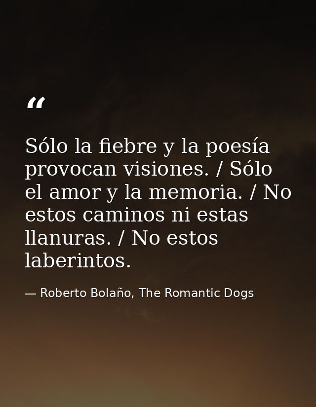 Sólo la fiebre y la poesía provocan visiones. / Sólo el amor y la memoria. / No estos caminos ni estas llanuras. / No es — Roberto Bolaño, The Romantic Dogs