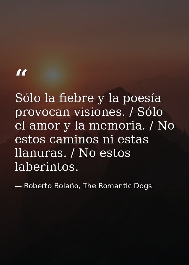Sólo la fiebre y la poesía provocan visiones. / Sólo el amor y la memoria. / No estos caminos ni estas llanuras. / No es — Roberto Bolaño, The Romantic Dogs
