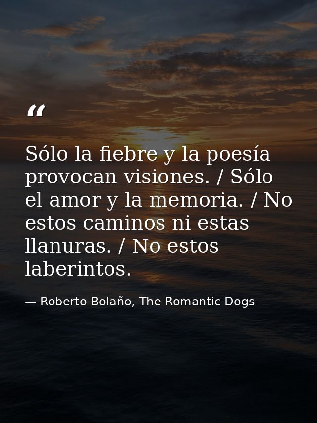 Sólo la fiebre y la poesía provocan visiones. / Sólo el amor y la memoria. / No estos caminos ni estas llanuras. / No es — Roberto Bolaño, The Romantic Dogs