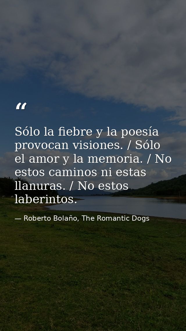 Sólo la fiebre y la poesía provocan visiones. / Sólo el amor y la memoria. / No estos caminos ni estas llanuras. / No es — Roberto Bolaño, The Romantic Dogs