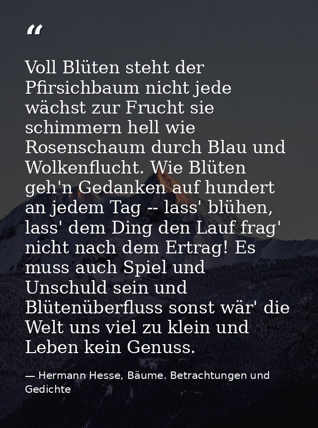 Voll Blüten steht der Pfirsichbaum nicht jede wächst zur Frucht sie schimmern hell wie Rosenschaum durch Blau und Wolken — Hermann Hesse, Bäume. Betrachtungen und Gedichte