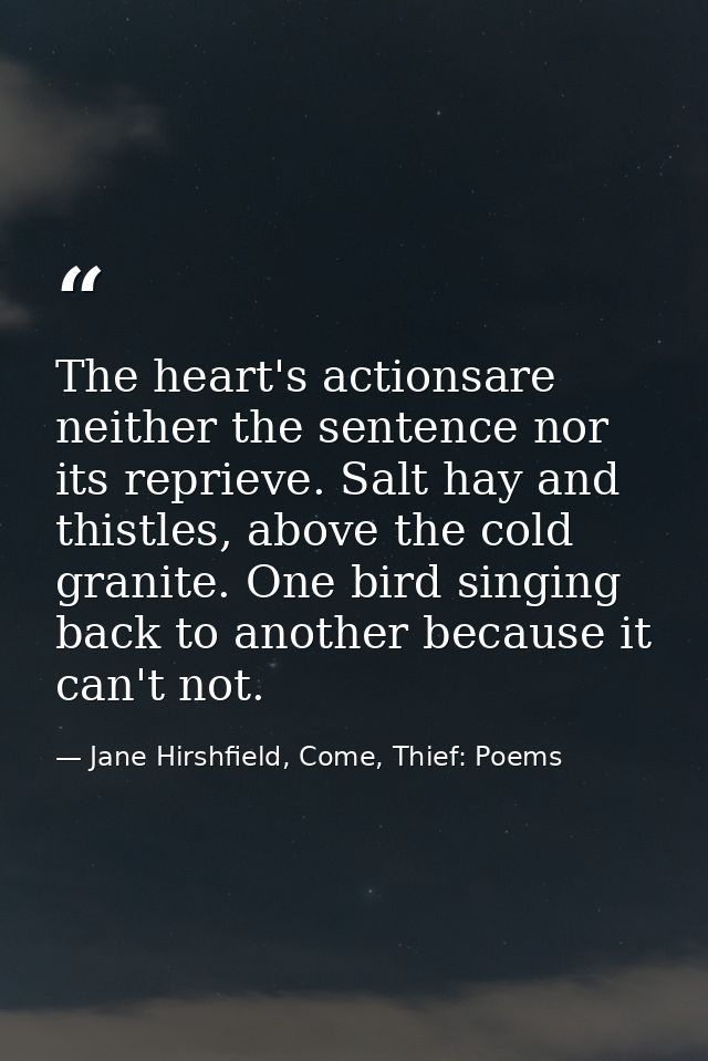 The heart's actionsare neither the sentence nor its reprieve. Salt hay and thistles, above the cold granite. One bird si — Jane Hirshfield, Come, Thief: Poems