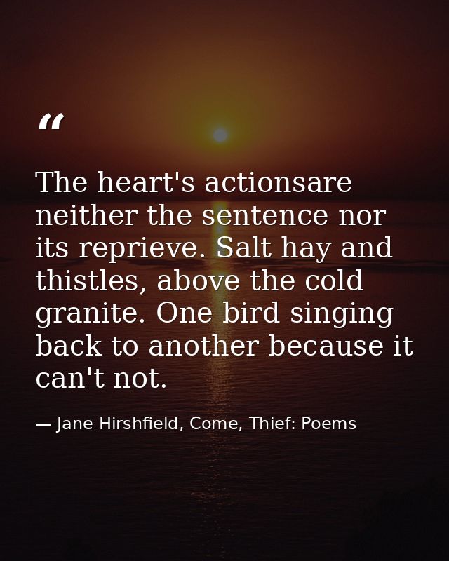 The heart's actionsare neither the sentence nor its reprieve. Salt hay and thistles, above the cold granite. One bird si — Jane Hirshfield, Come, Thief: Poems