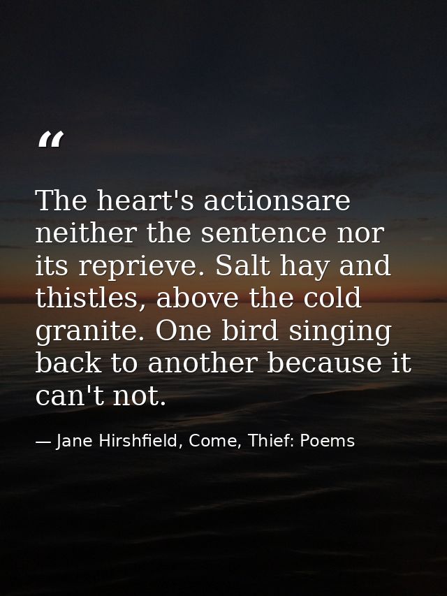 The heart's actionsare neither the sentence nor its reprieve. Salt hay and thistles, above the cold granite. One bird si — Jane Hirshfield, Come, Thief: Poems