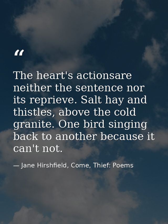 The heart's actionsare neither the sentence nor its reprieve. Salt hay and thistles, above the cold granite. One bird si — Jane Hirshfield, Come, Thief: Poems