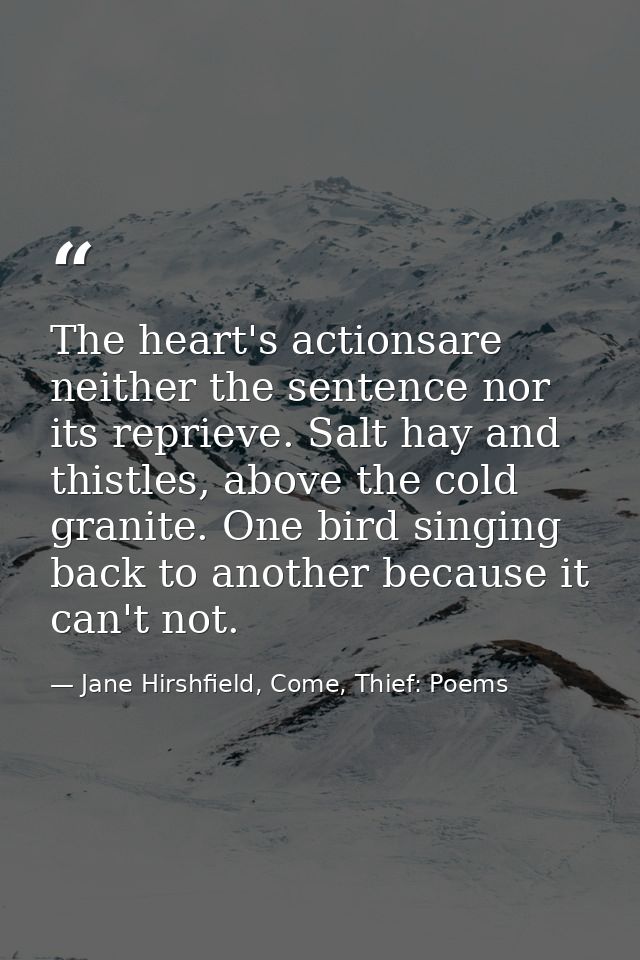 The heart's actionsare neither the sentence nor its reprieve. Salt hay and thistles, above the cold granite. One bird si — Jane Hirshfield, Come, Thief: Poems