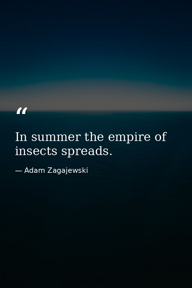 In summer the empire of insects spreads. — Adam Zagajewski