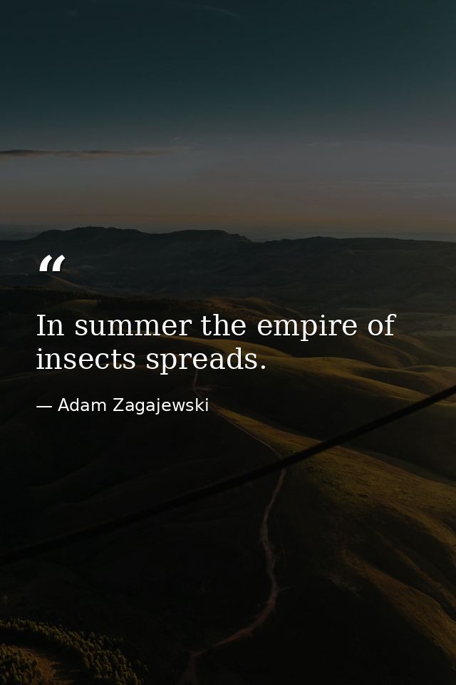 In summer the empire of insects spreads. — Adam Zagajewski