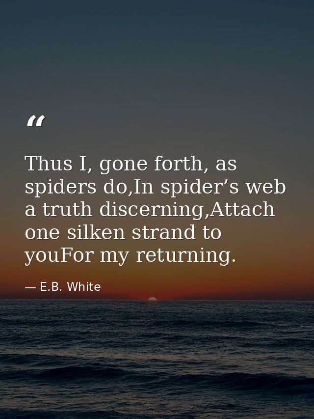 Thus I, gone forth, as spiders do,In spider’s web a truth discerning,Attach one silken strand to youFor my returning. — E.B. White