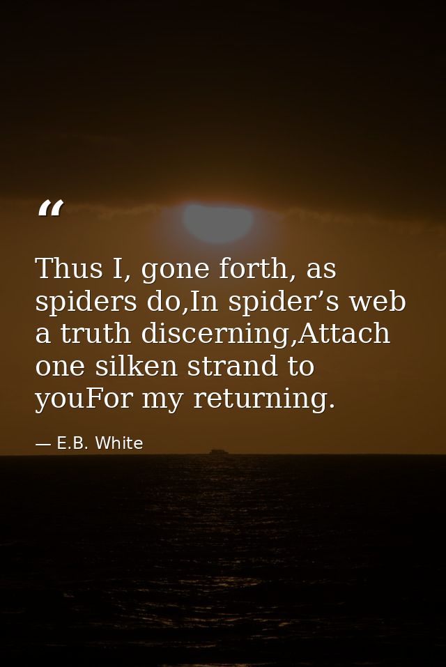 Thus I, gone forth, as spiders do,In spider’s web a truth discerning,Attach one silken strand to youFor my returning. — E.B. White