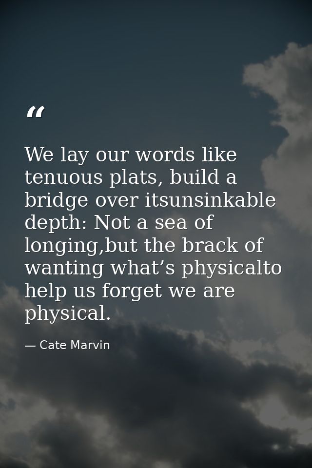 We lay our words like tenuous plats, build a bridge over itsunsinkable depth: Not a sea of longing,but the brack of want — Cate Marvin