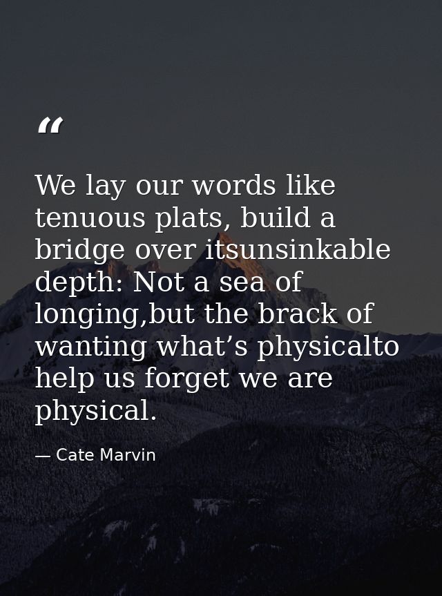 We lay our words like tenuous plats, build a bridge over itsunsinkable depth: Not a sea of longing,but the brack of want — Cate Marvin