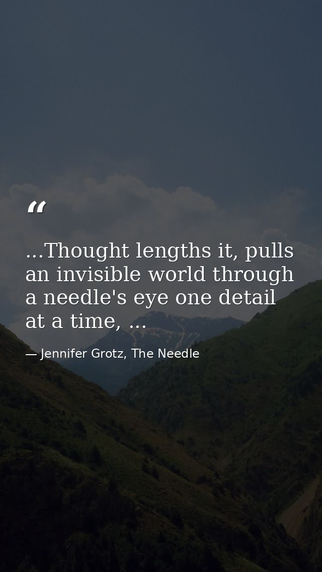 ...Thought lengths it, pulls an invisible world through a needle's eye one detail at a time, ... — Jennifer Grotz, The Needle