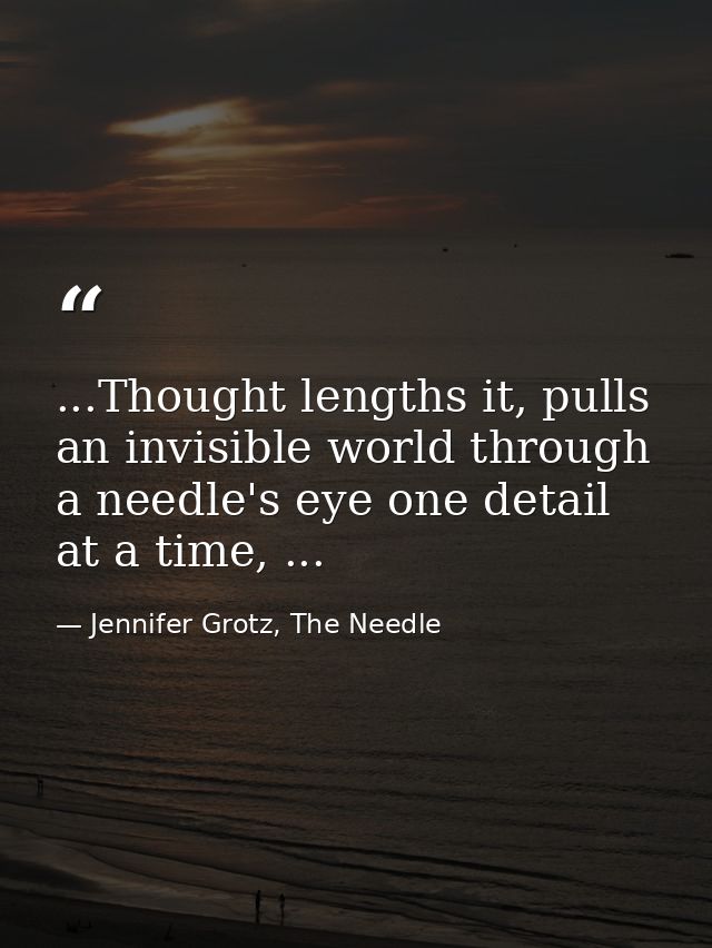 ...Thought lengths it, pulls an invisible world through a needle's eye one detail at a time, ... — Jennifer Grotz, The Needle