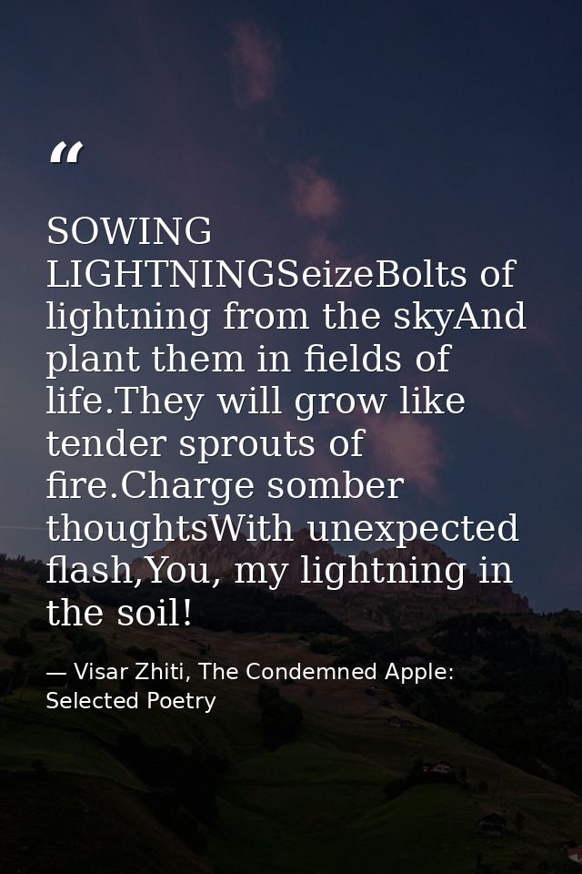 SOWING LIGHTNINGSeizeBolts of lightning from the skyAnd plant them in fields of life.They will grow like tender sprouts  — Visar Zhiti, The Condemned Apple: Selected Poetry