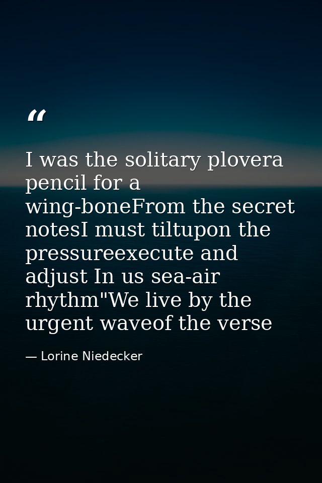 I was the solitary plovera pencil for a wing-boneFrom the secret notesI must tiltupon the pressureexecute and adjust In  — Lorine Niedecker