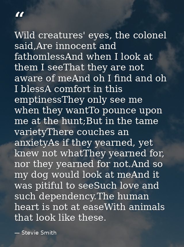 Wild creatures' eyes, the colonel said,Are innocent and fathomlessAnd when I look at them I seeThat they are not aware o — Stevie Smith